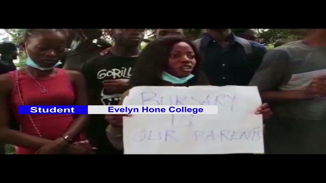 REPORT ON EVELYN HONE