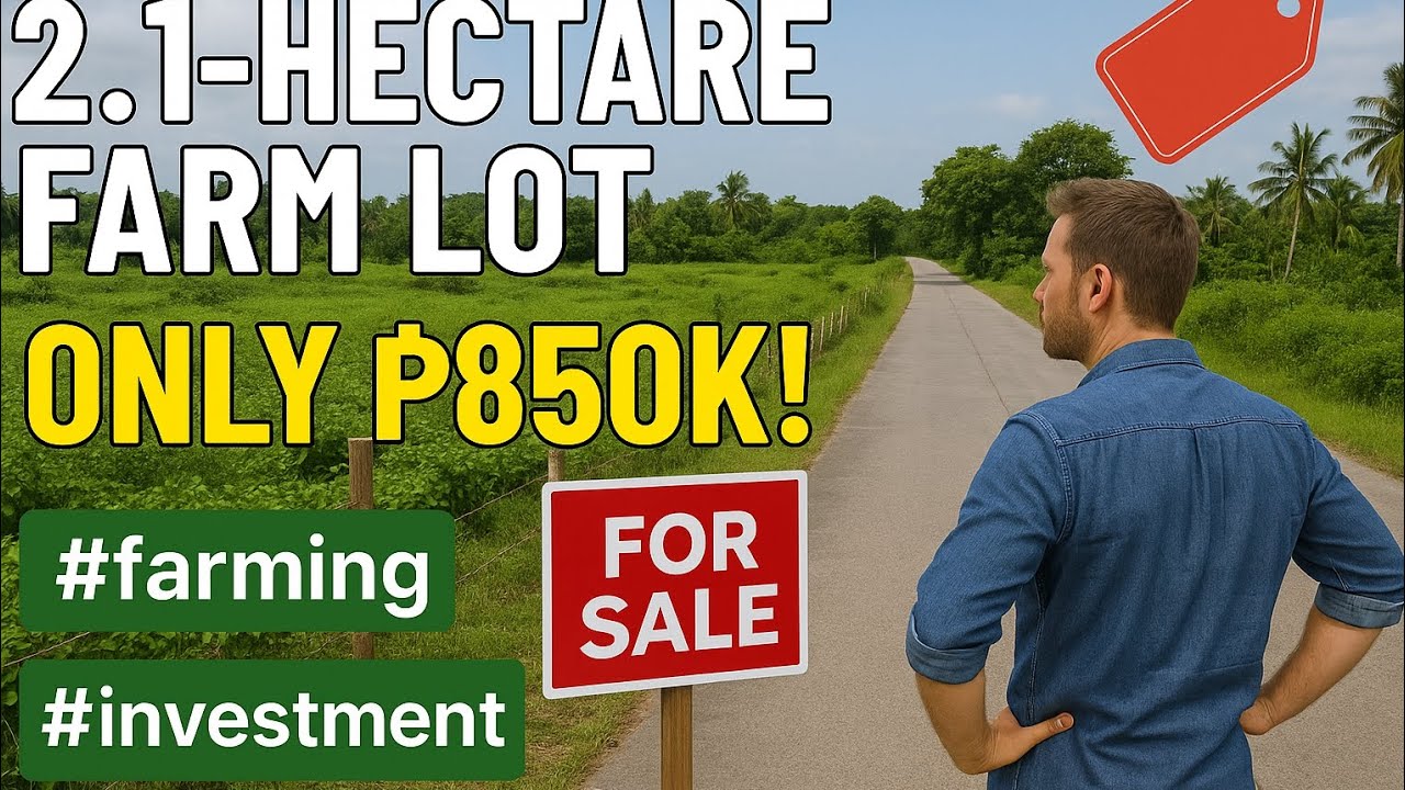 Sold (Vlog#112) 2.1-hectare farm lot. For only 850k!                #farm #farmland
