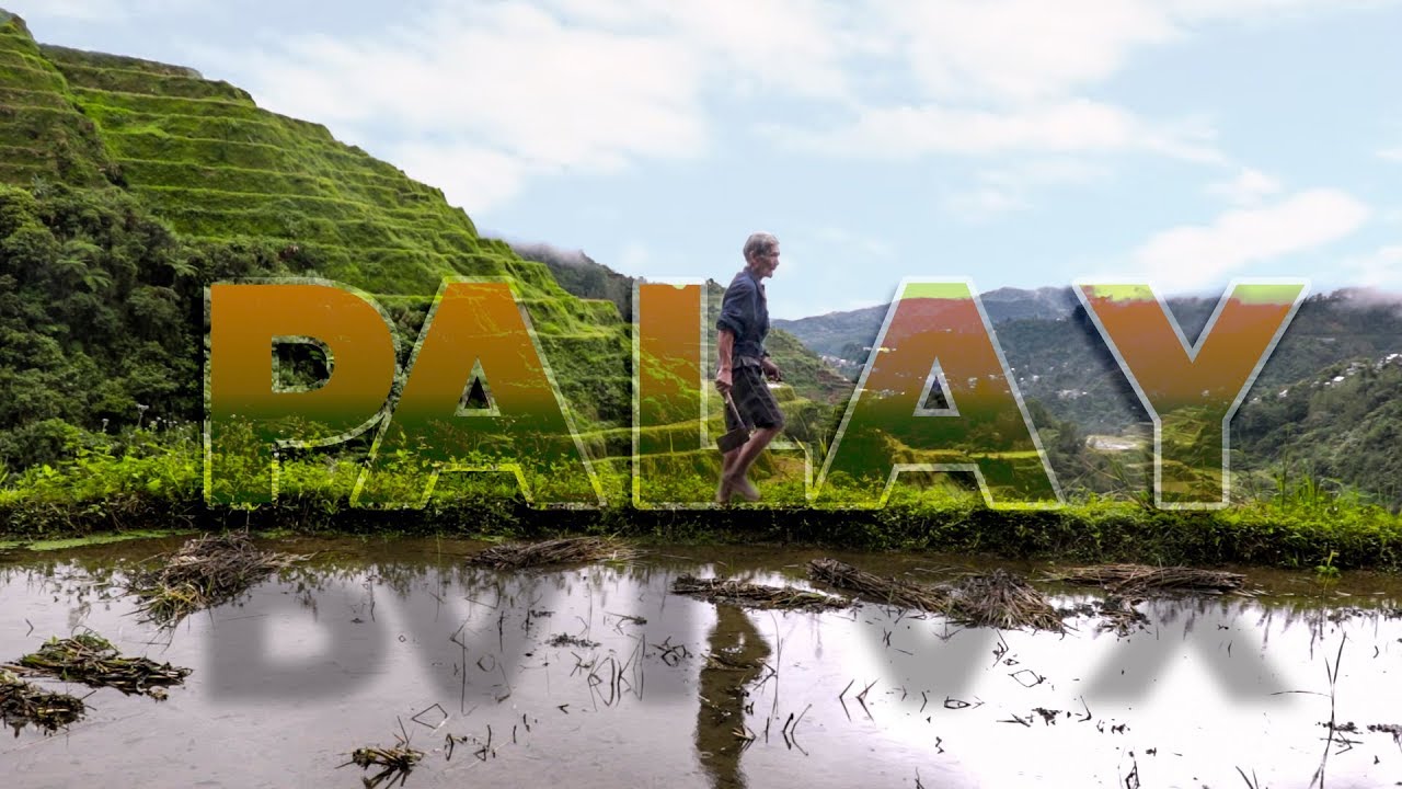 Palay | Istorya