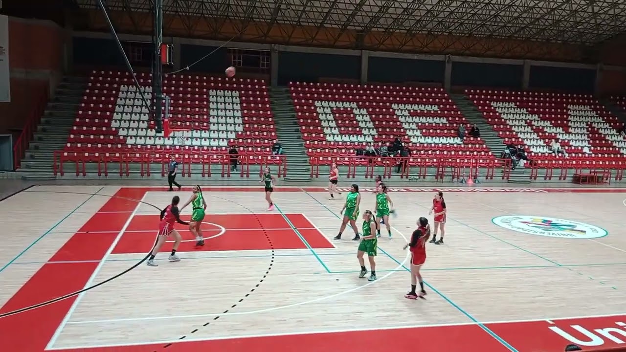 Amistoso udm  tda