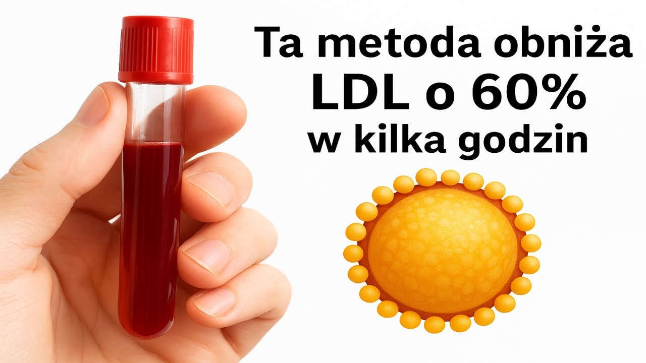 Jak obniżyć cholesterol LDL o 60% bez lek&oacute;w? 🧪 Naukowo potwierdzona metoda