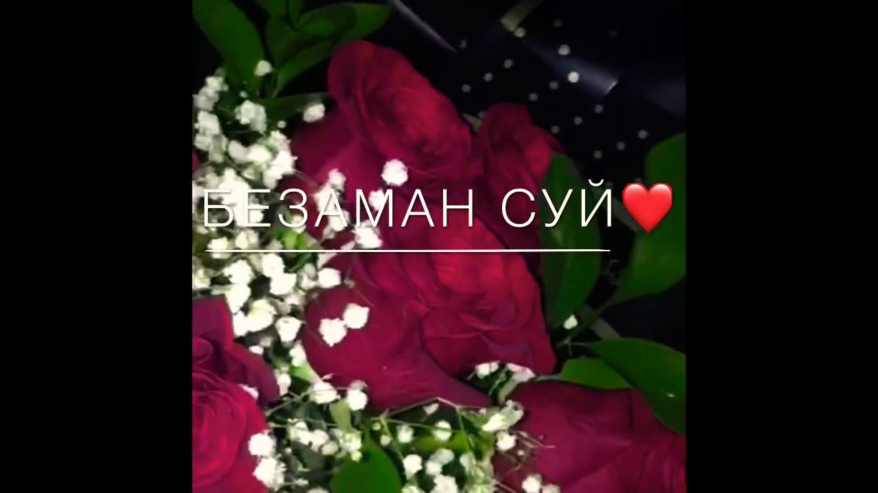 Ирсе Безаман суй са даг чухул баьлла❤️
