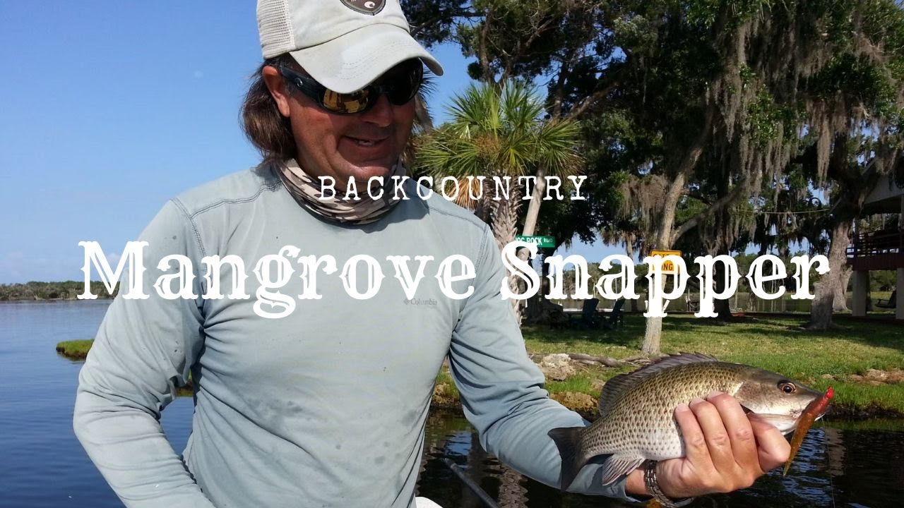 How to Target Mangrove Snapper in the Back-country | In The Spread Fishing Videos