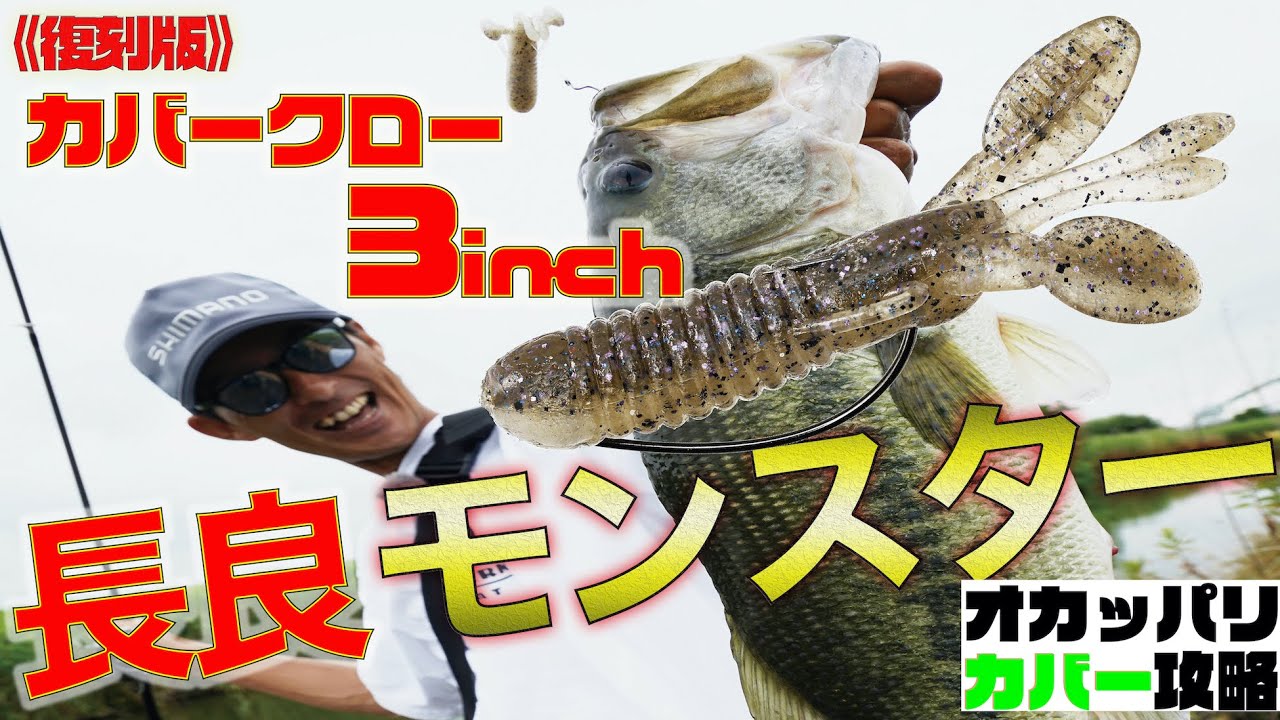 【水野浩聡】オカッパリカバーゲームで54cmナガラモンスター降臨！【長良川】