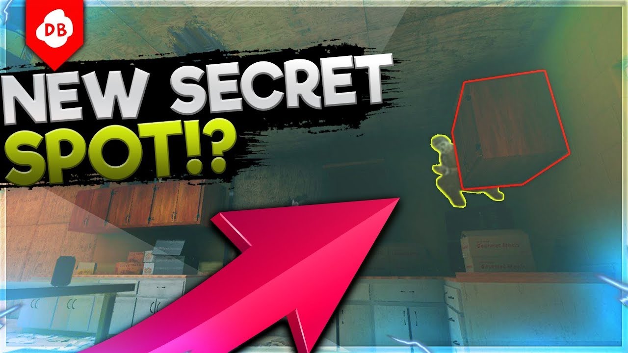 New Secret Hiding Spot + New Tips and Tricks - Rainbow Six : Siege
