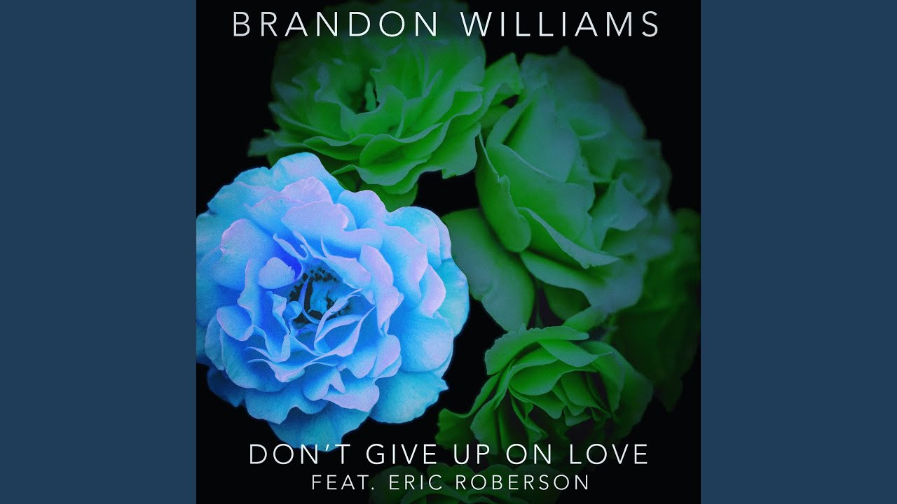 Don't Give Up On Love