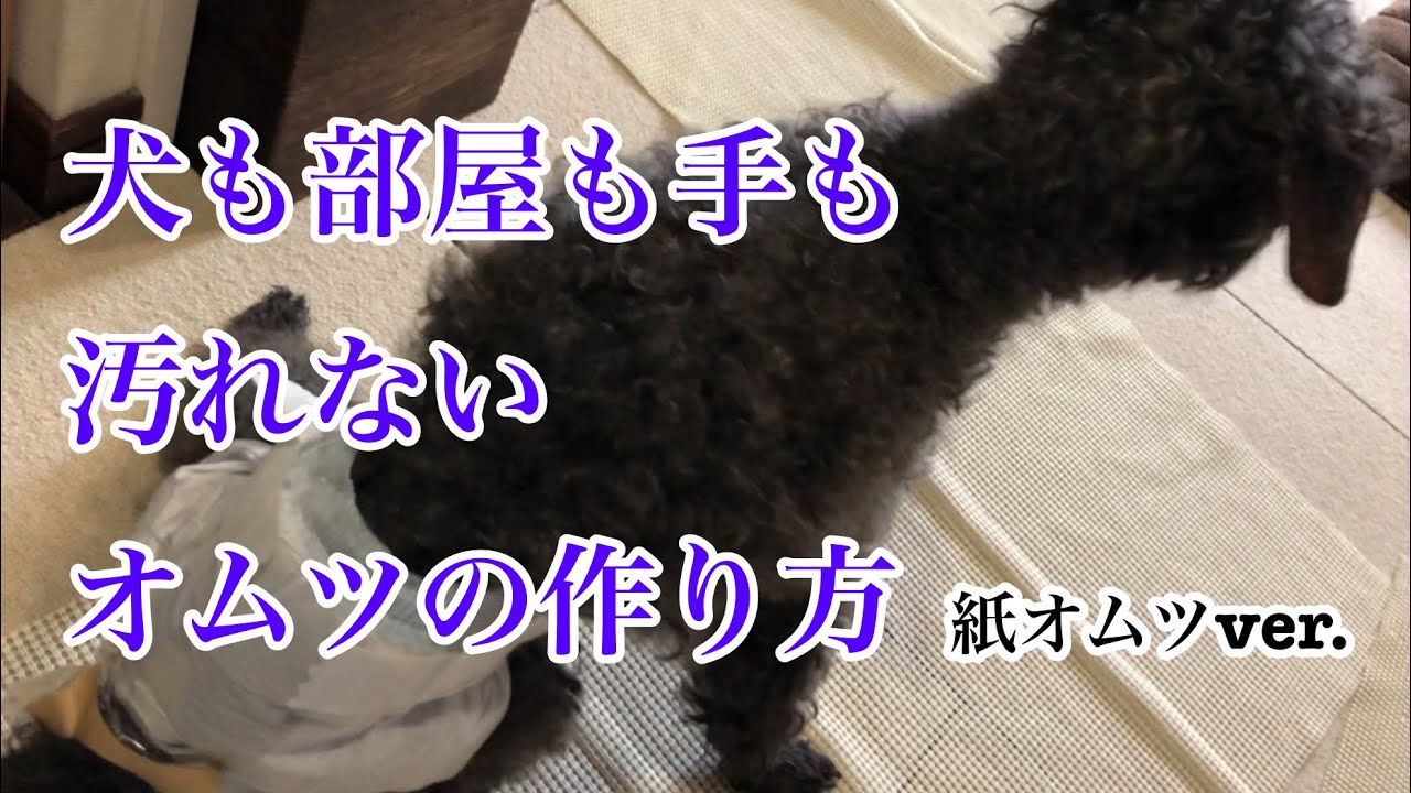 うんち分離型おむつの作り方