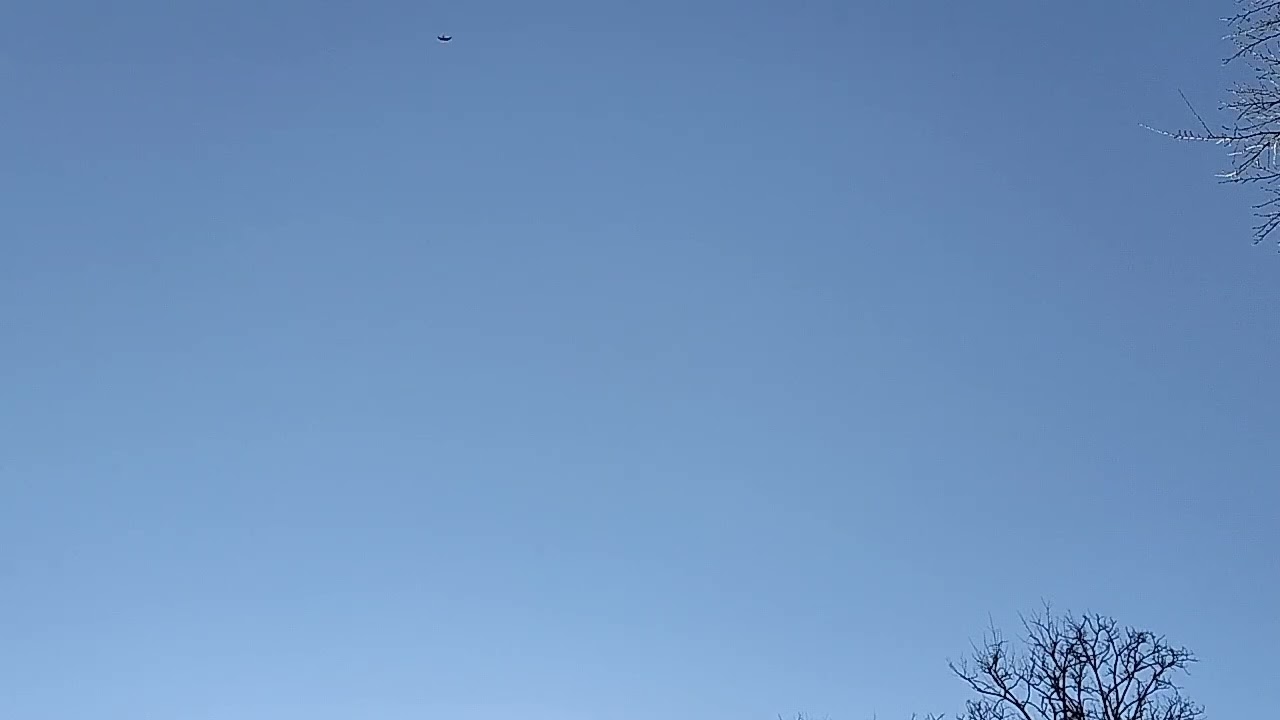 2026年2月1日