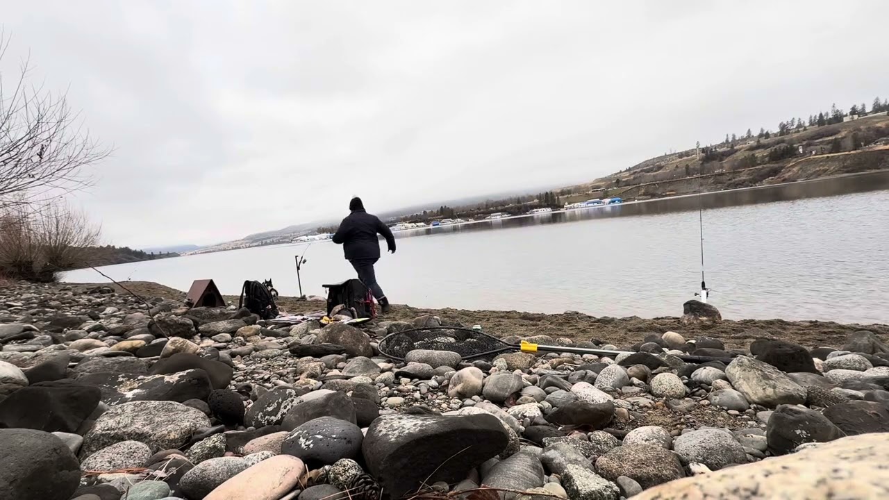Lake Roosevelt/Rufus Woods Triploid Rainbow Fishing