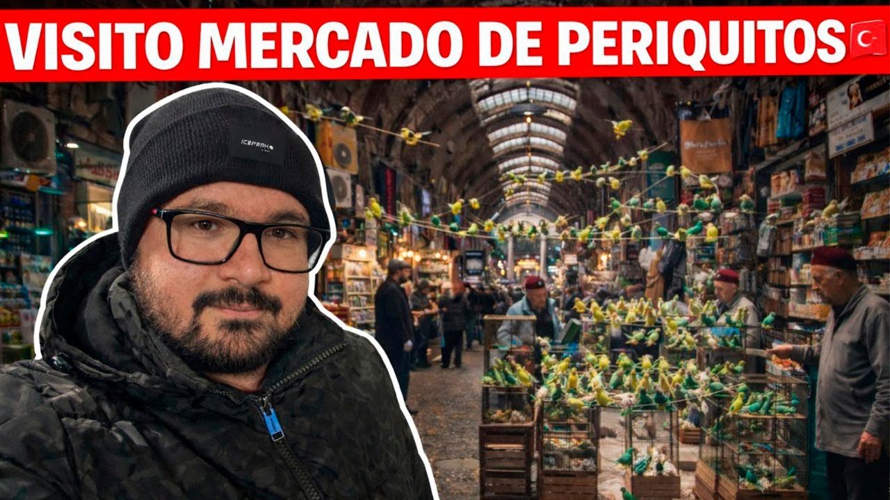 ASI SE VE UN MERCADO DE PERIQUITOS AUSTRALIANOS EN TURQUIA