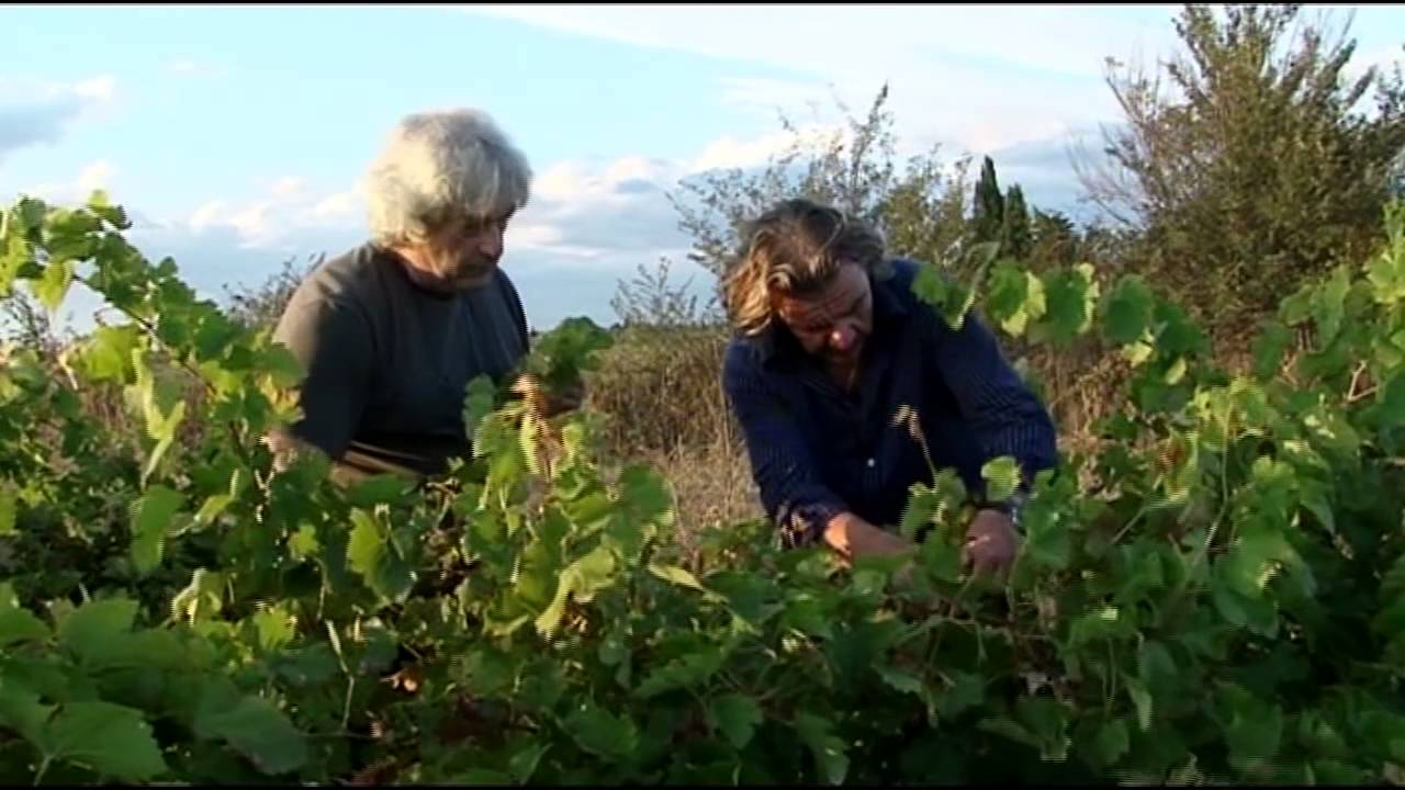 Jean Luc Rabanel - La Cuisine du Végétal