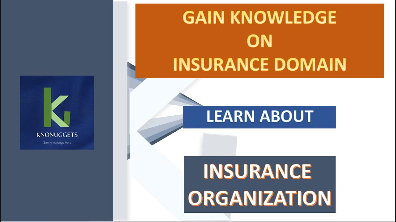 Insurance Domain Training - 8. Insurance Organization