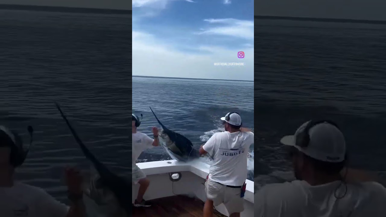 Fly fishing😱😱😱 