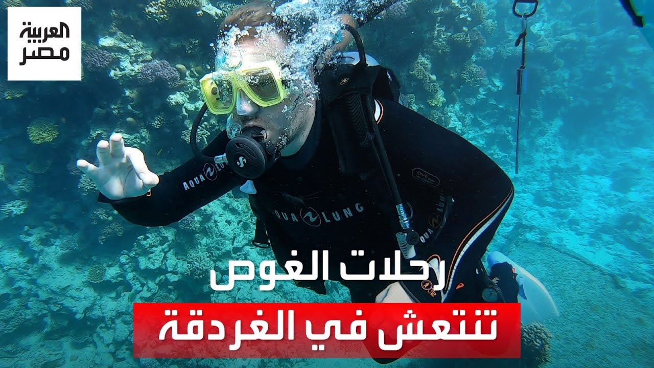 أكثر من 150 منطقة فريدة للمغامرة.. رحلات الغوص تنتعش في مدينة الغردقة