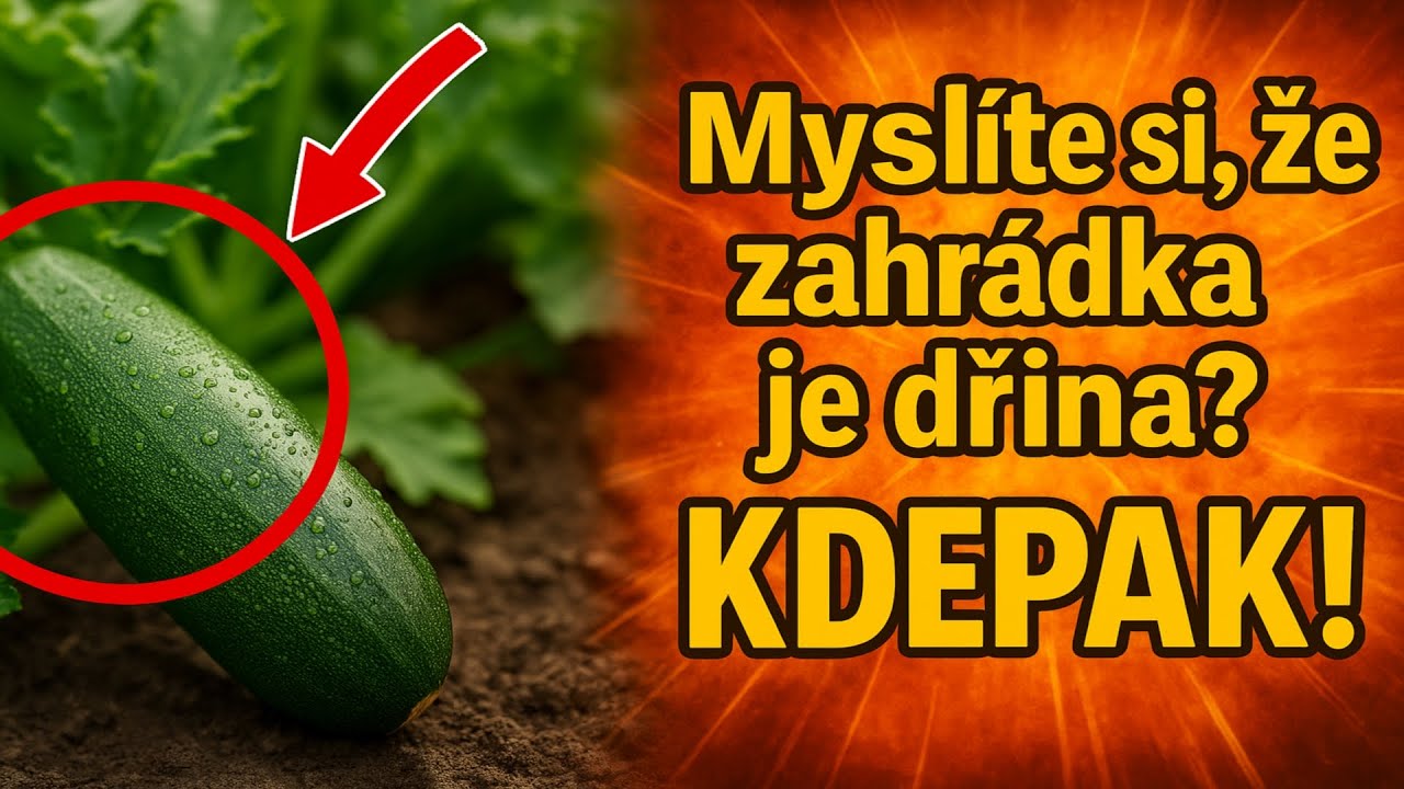 Myslíte si, že zahrádka je dřina? Kdepak! Prostě jste sázeli špatnou zeleninu!