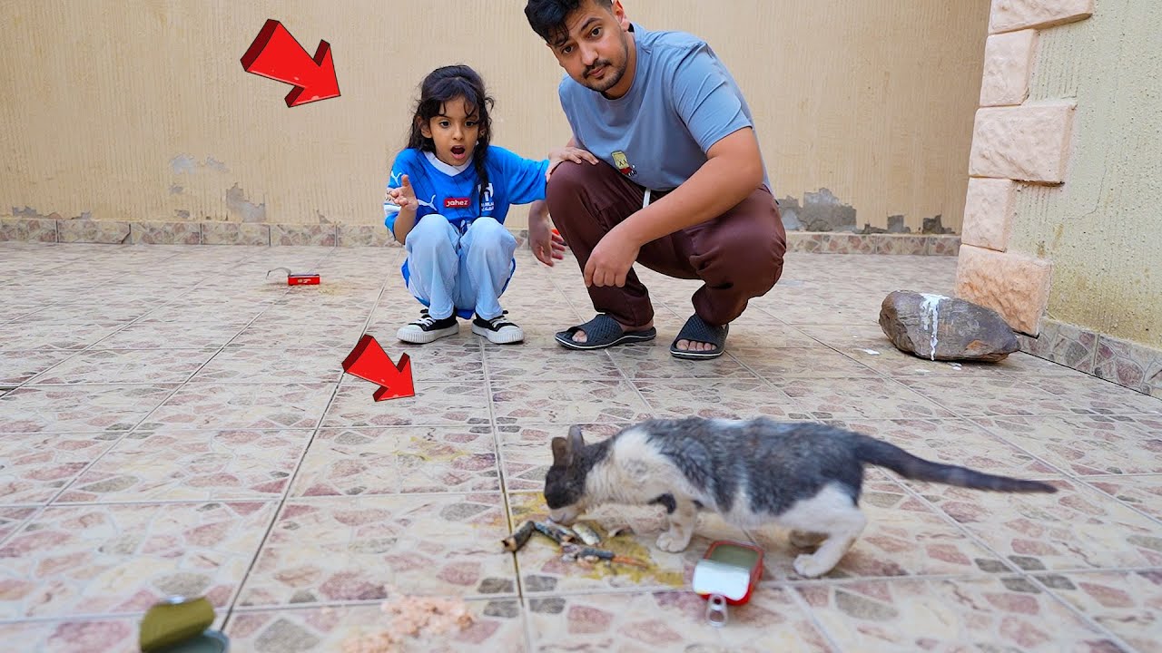 سارة تساعد القطوة المسكينه شوفوا كيف !!