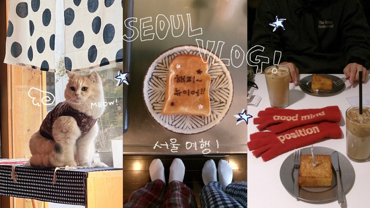 【Seoul Vlog】2泊3日の韓国旅行|お気に入りのご飯屋、カフェ、ショップを巡ります。
