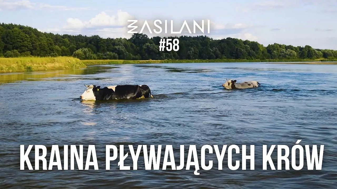 Kraina Pływających Krów nad Bugiem. Zasilani #58