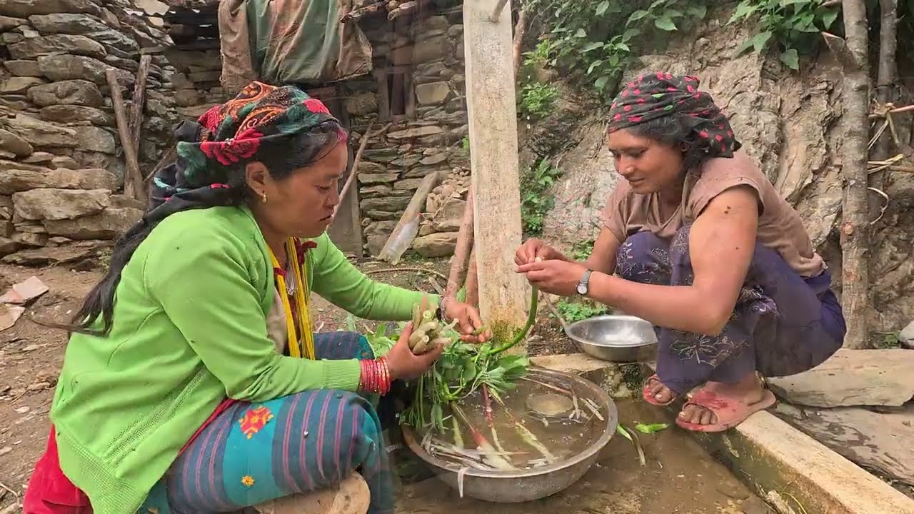 wild vegetable hunt and cooking organic food || 