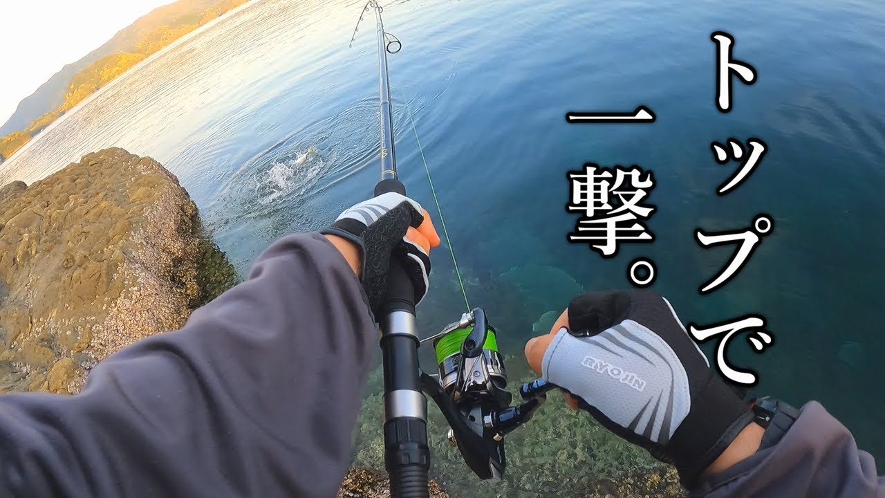 水面爆発！トップから青物狙うの楽しすぎる&hellip;【ショアプラッキング】