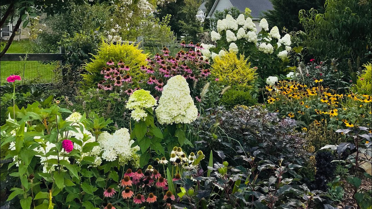 July 2022 Garden Tour