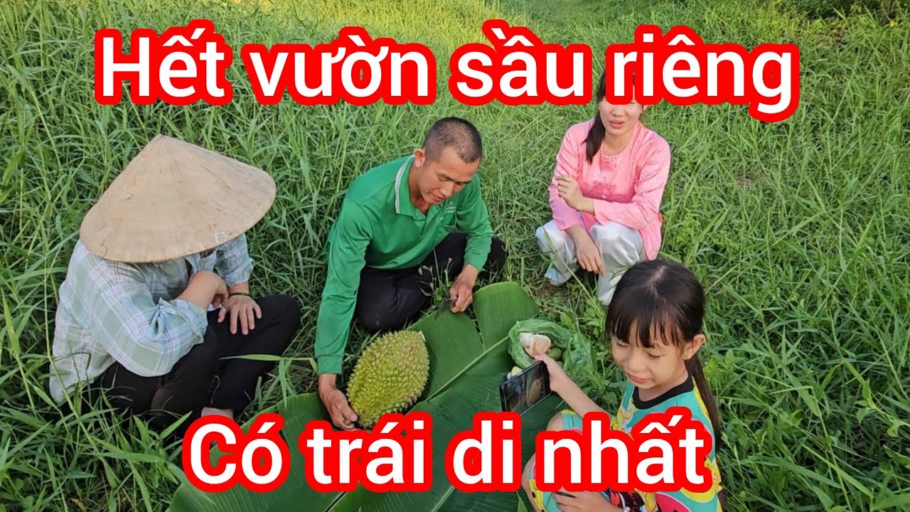 Quá bất ngờ Út mai nay ru anh 7 đi thăm vườn sầu riêng làm chuyện này anh chị 7 bó tay 