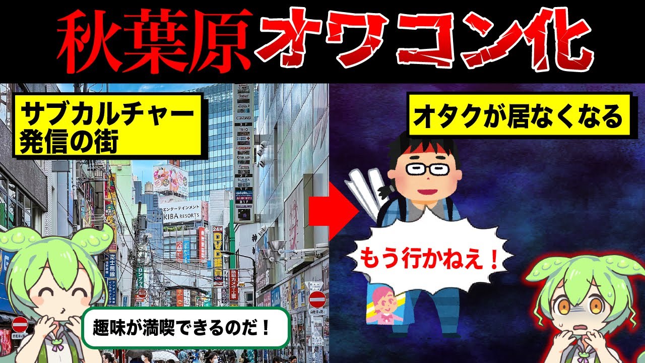 秋葉原が変貌してしまった理由【ずんだもん＆ゆっくり解説】