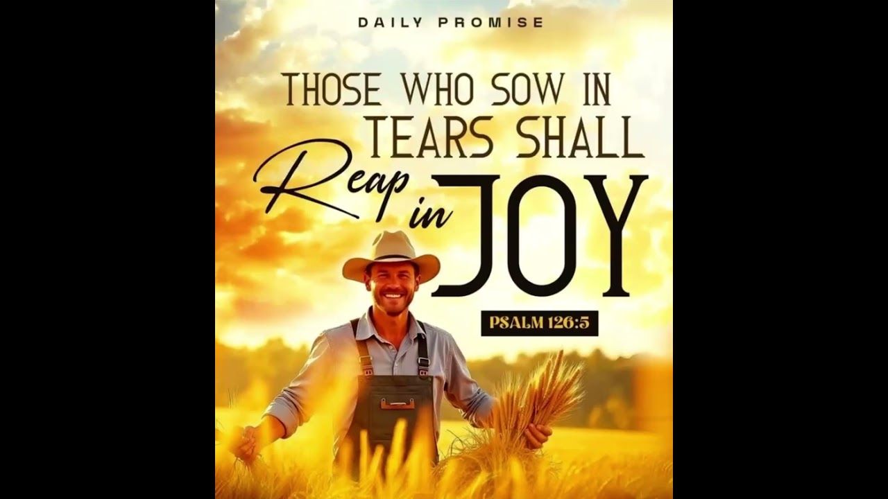 August month promise