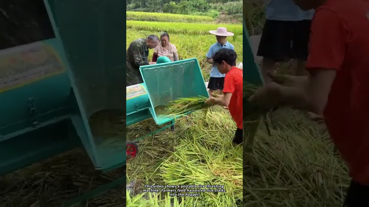 The Power of a Small, Efficient Rice Thresher