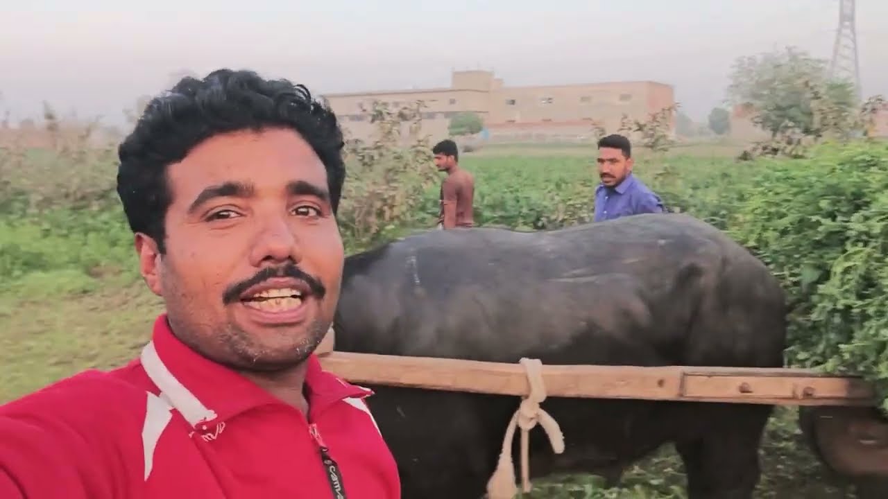 Very interesting story my friend . Kitni shadiya ki Hain😱. 💕 Love story 🤣💓