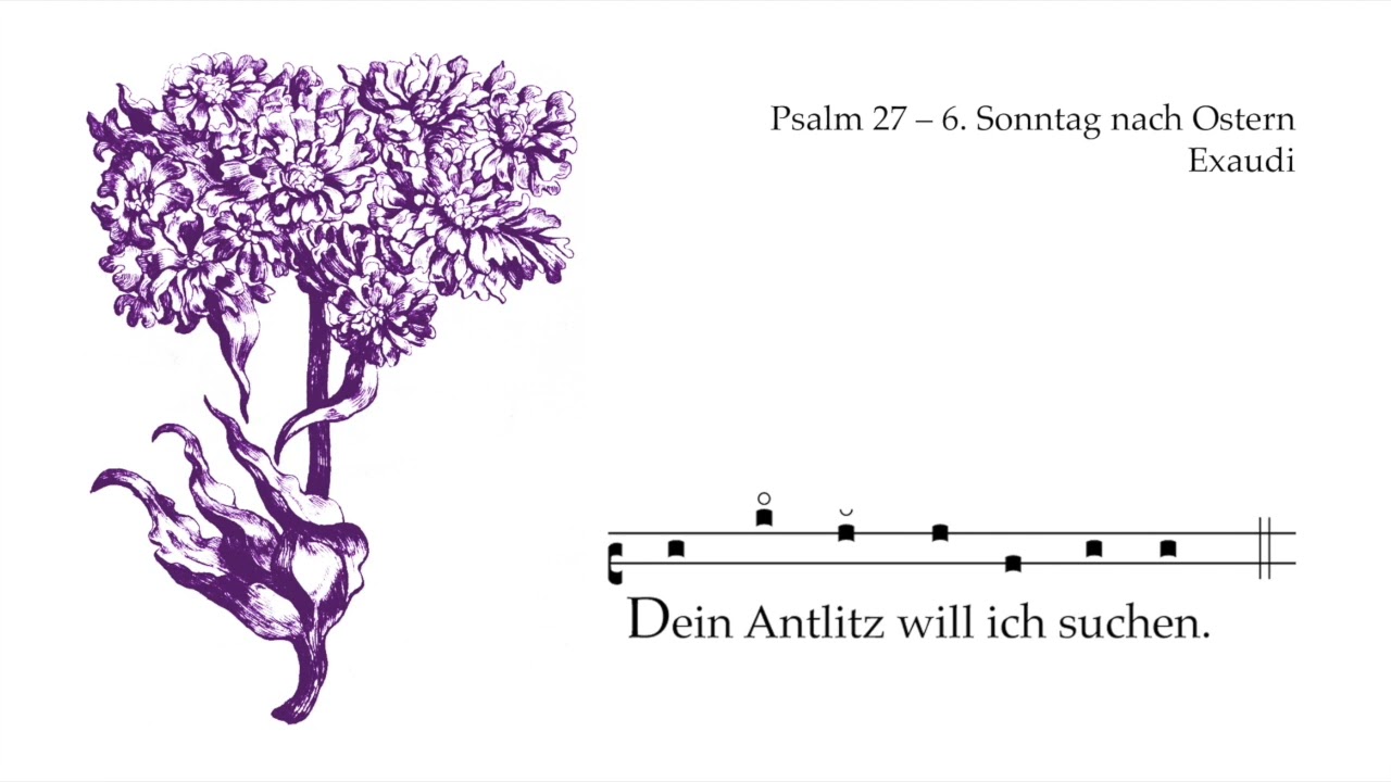 Psalm 27 &ndash; Wochenpsalm Exaudi