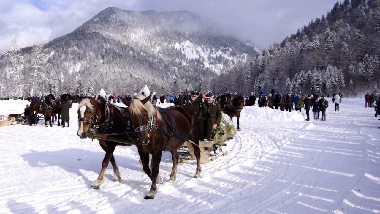 Winter-Rosstag in Wildbad Kreuth
