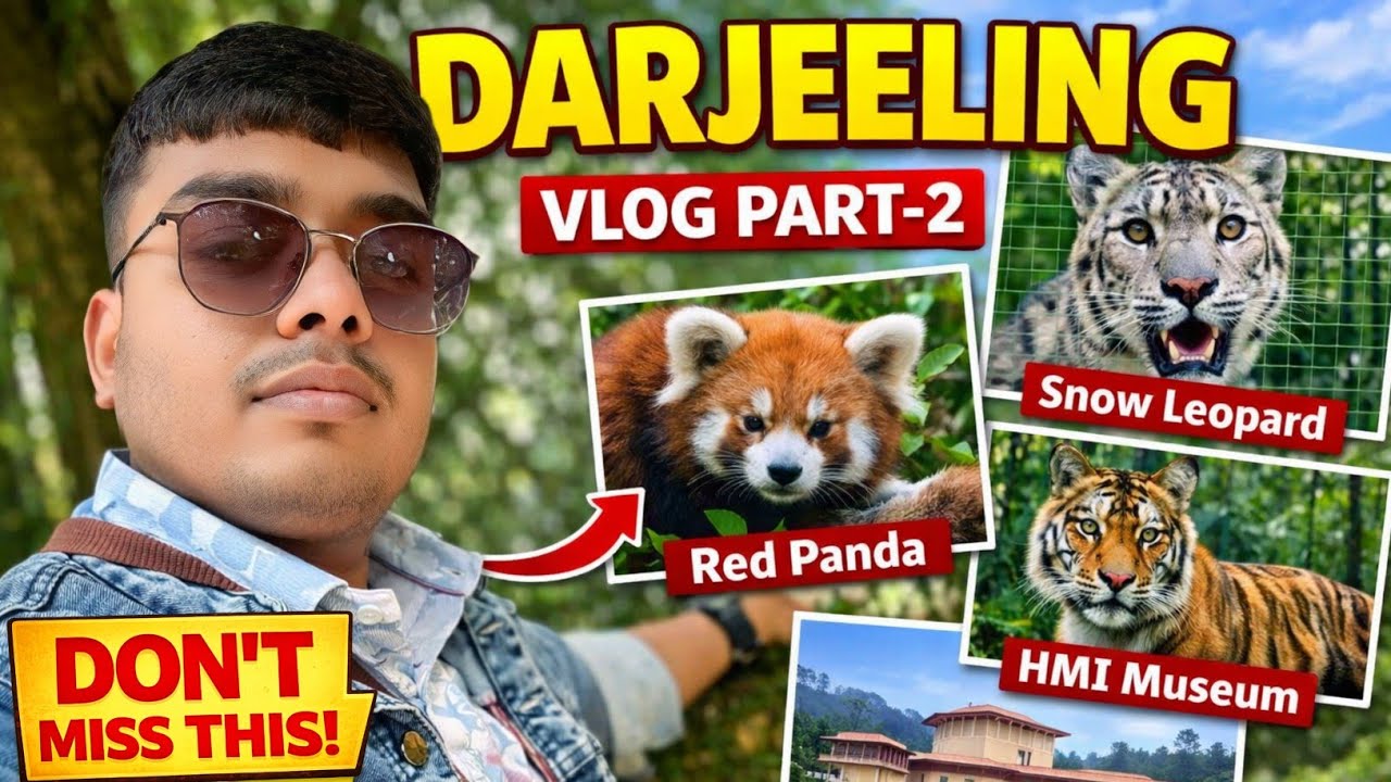 Darjeeling Vlog Part-2 | Padmaja Naidu Himalayan Zoo Tour | Red Panda & Snow Leopard