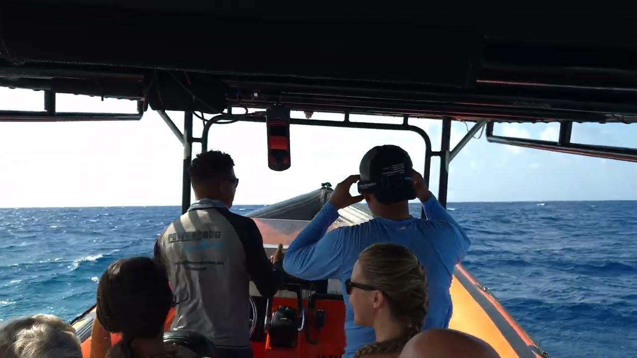 Powerboat Caribbean to Klein 