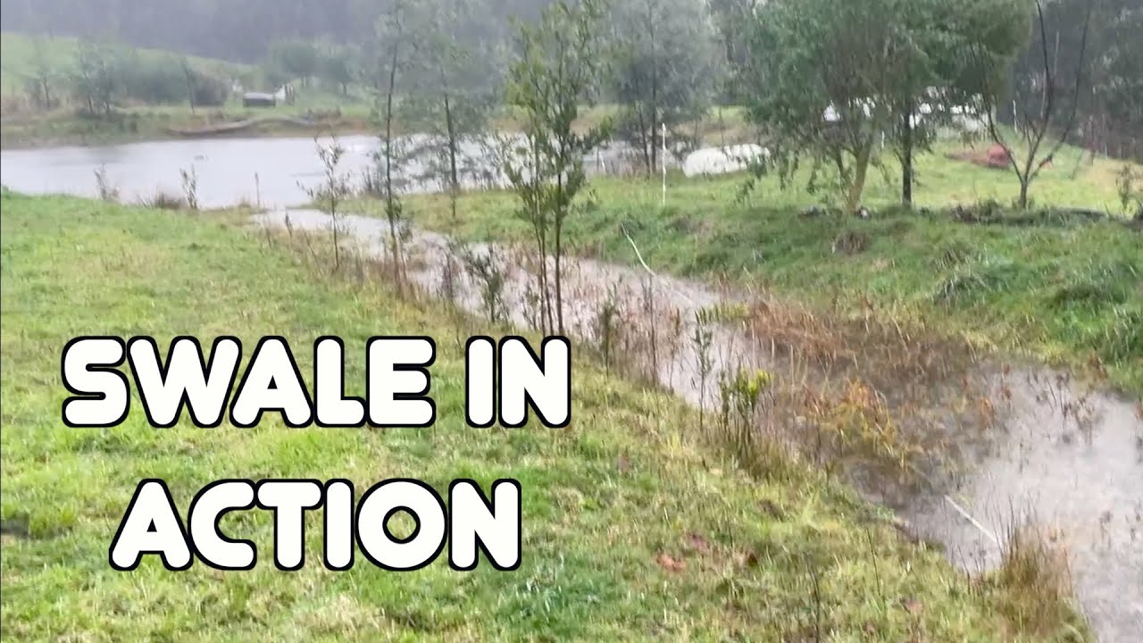 Permaculture Design in Practice - increasing water catchment with swale design