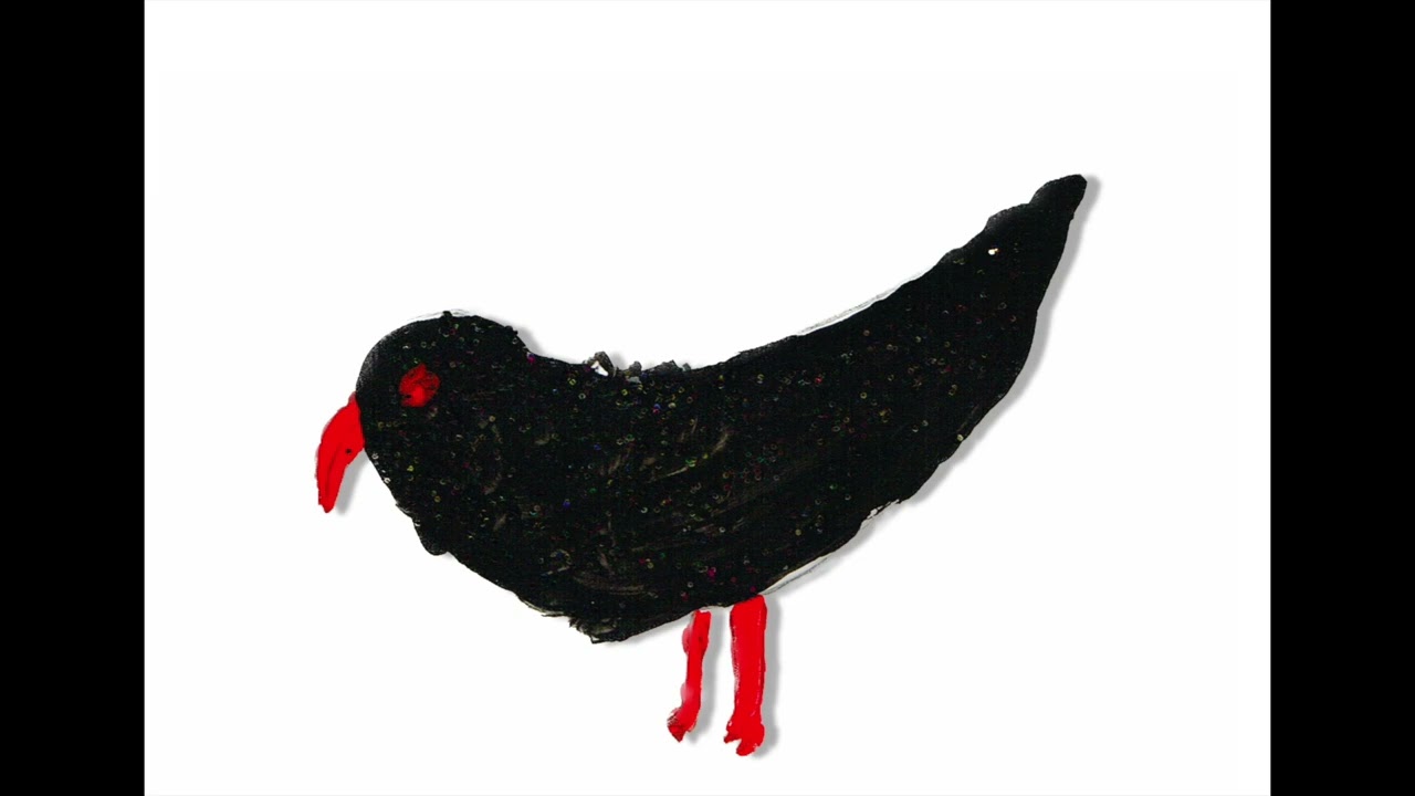 Oiseau des cornouailles