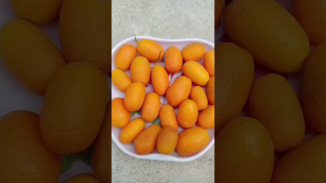 sweet lemon satisfying 🍋 fresh fruit cutting in my roof garden /How-tofruitcut #shorts #fruit #roof