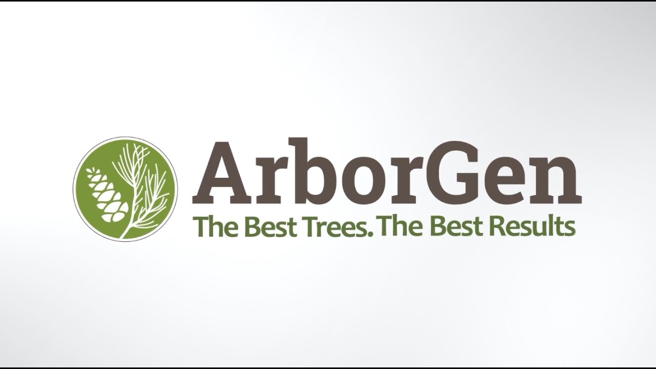 ArborGen, the bests trees, the best results!