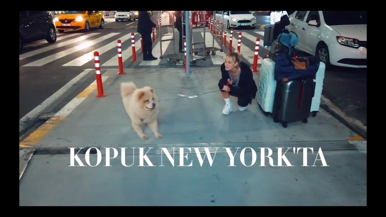 Didem Ve Köpük New York'ta!