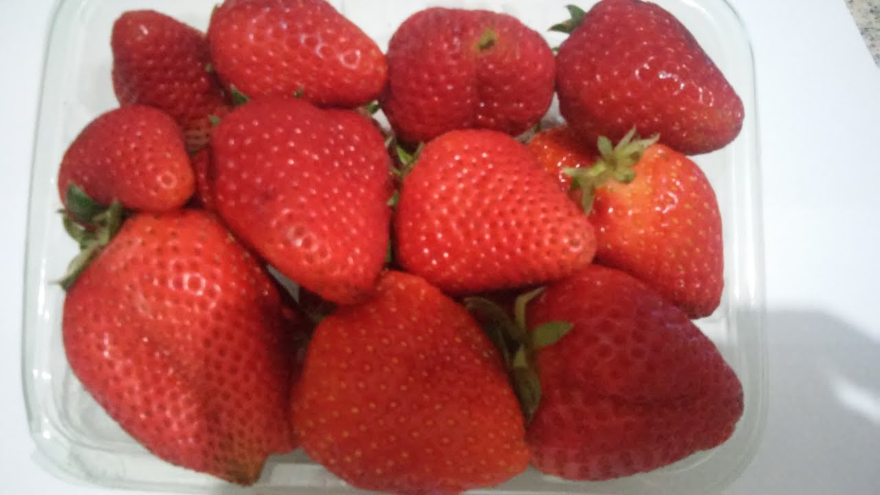 COMO TIRAR AS SEMENTES DE MORANGO E GERMINAR  ELAS MAIS RÁPIDO.