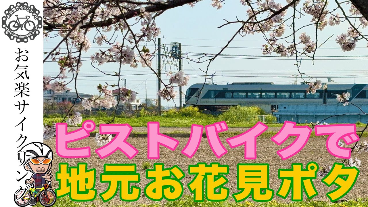 ピストバイクで地元お花見ポタ