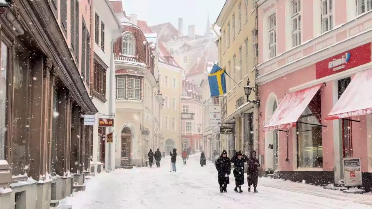 Tallinn Old Town Winter Walk | Snowstorm, Ambient Sound