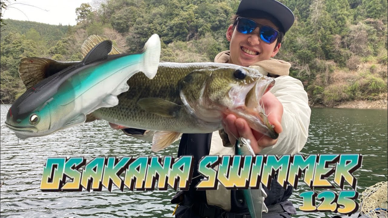 オサカナスイマー投げたら一瞬で釣れた！