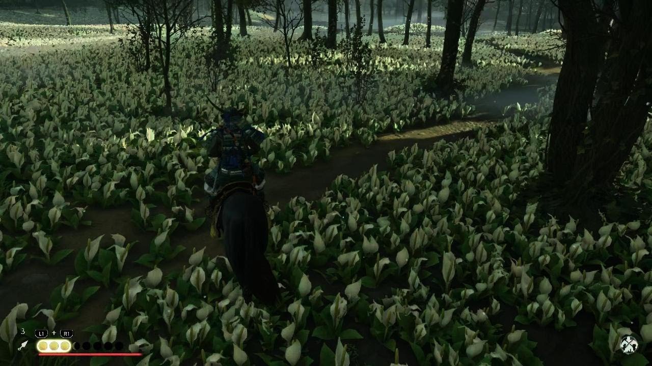 Ghost of Tsushima_69