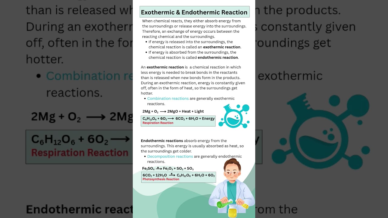 Exothermic and Endothermic Reaction