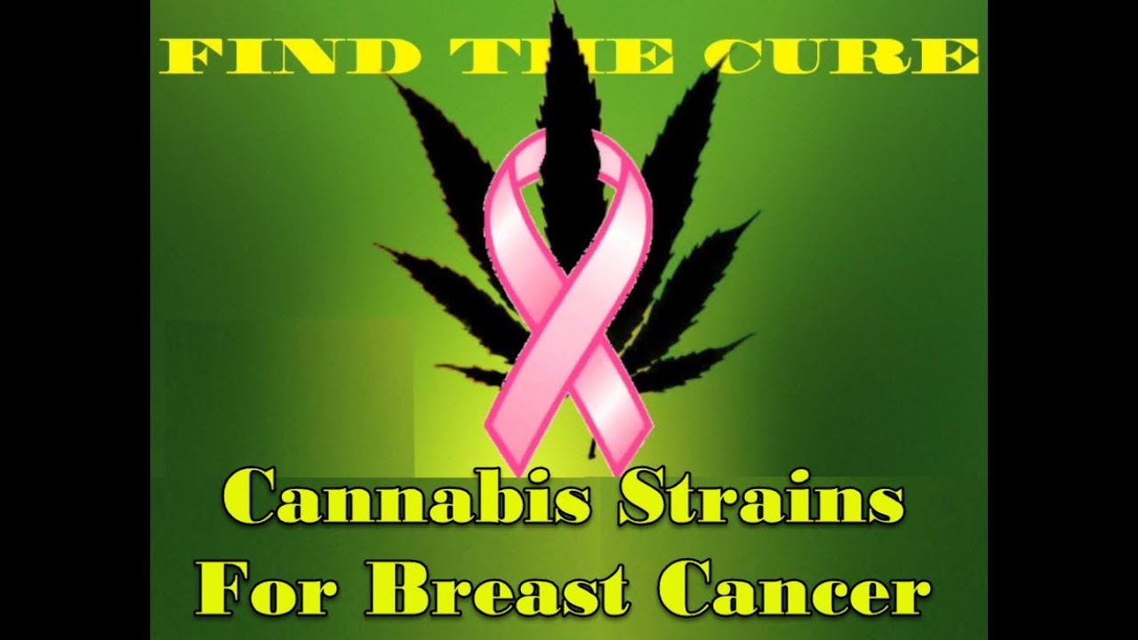 Medical Marijuana Strains For Breast Cancer Patients