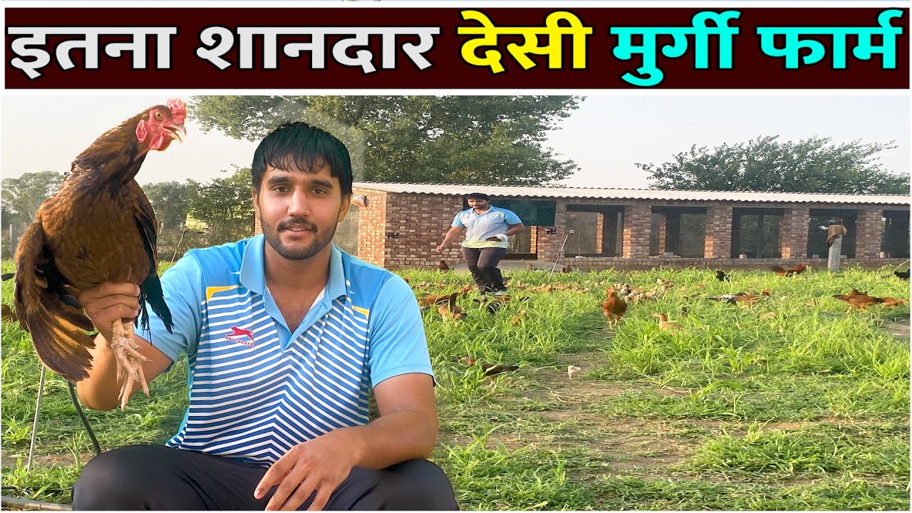 इतना शानदार देसी मुर्गी फार्म || Desi Poultry Farming || Poultry Farming Business Plan