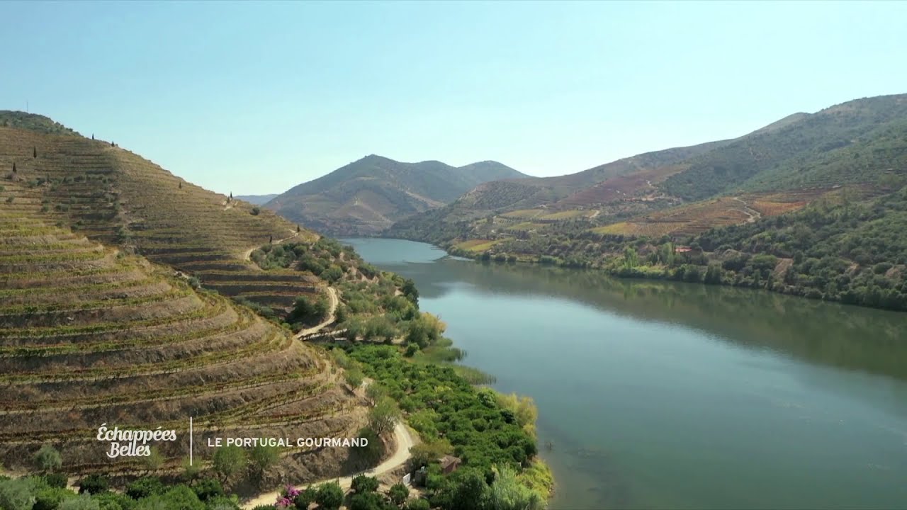 La vallée du Douro - Échappées belles Portugal