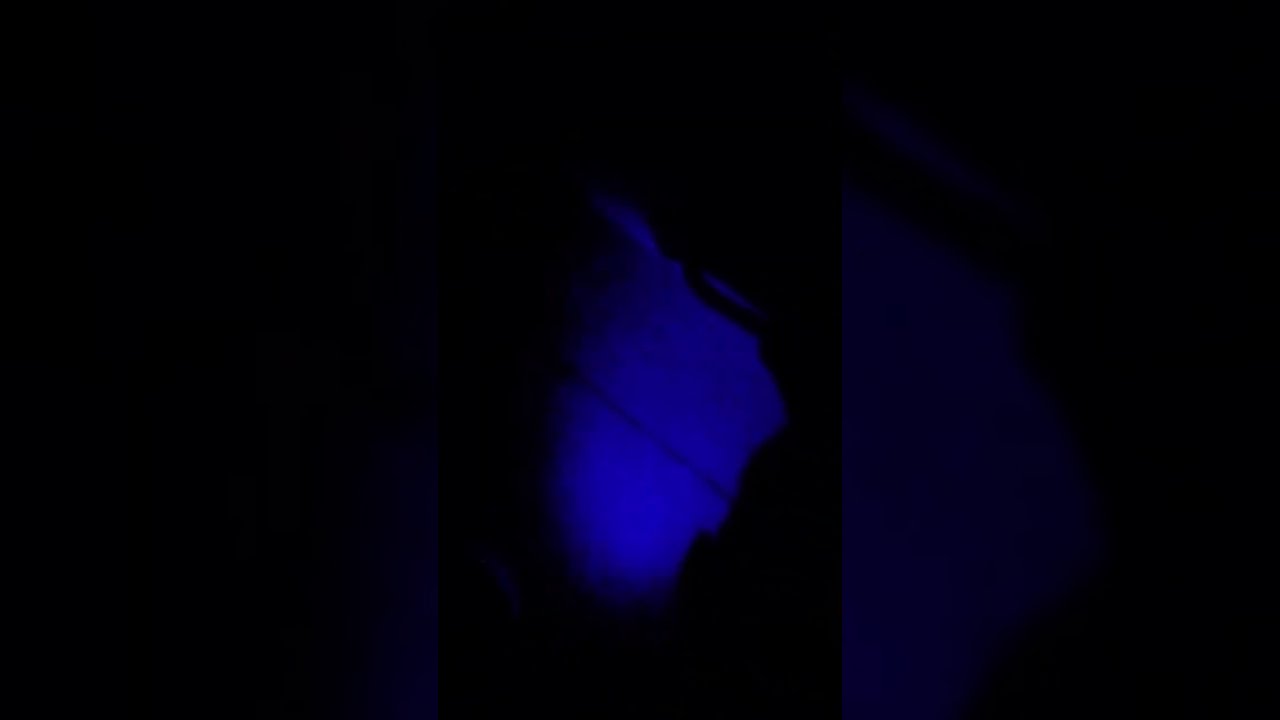 Leyendas con K está en vivo