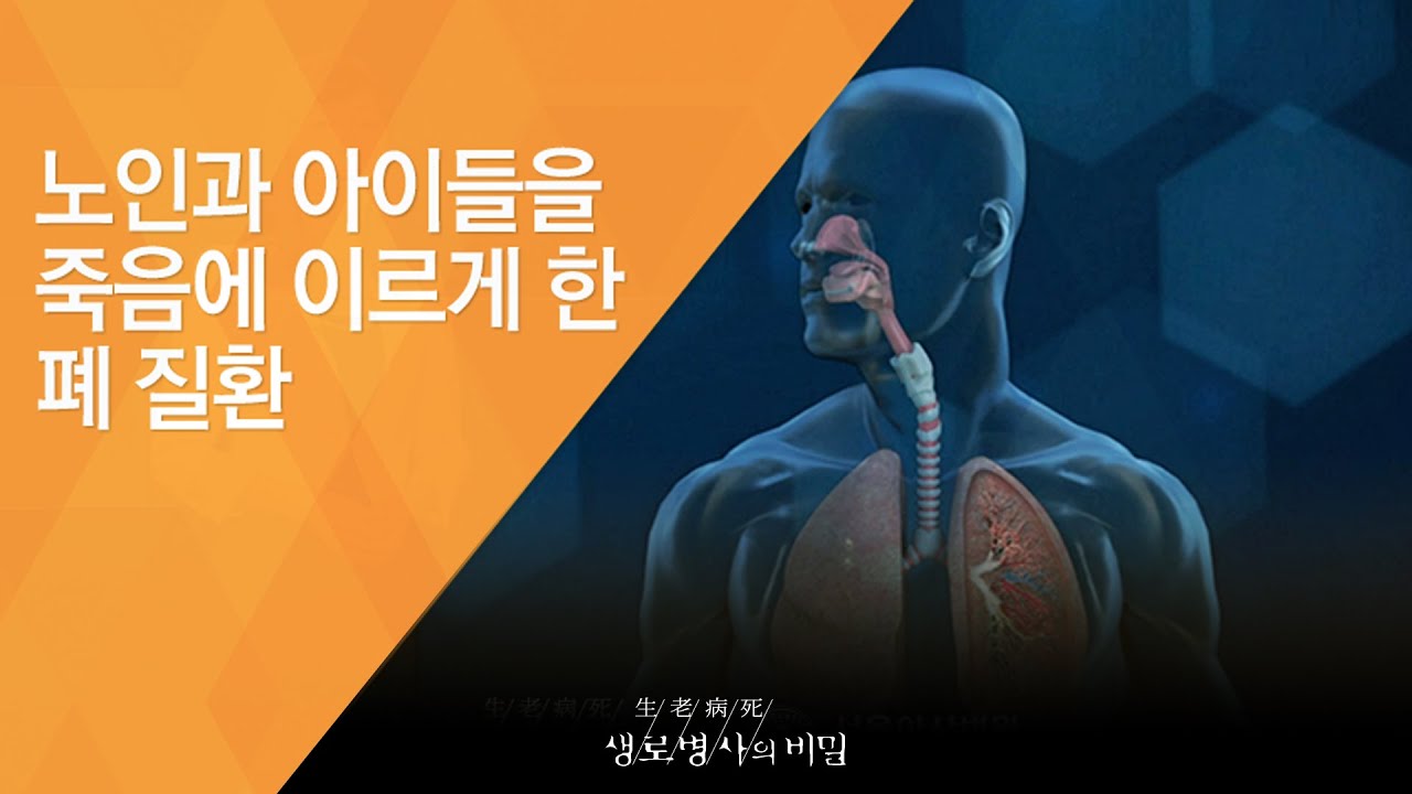 노인과 아이들을 죽음에 이르게 한 폐 질환 - (20121006_430회 방송)_환절기 폐렴 주의보